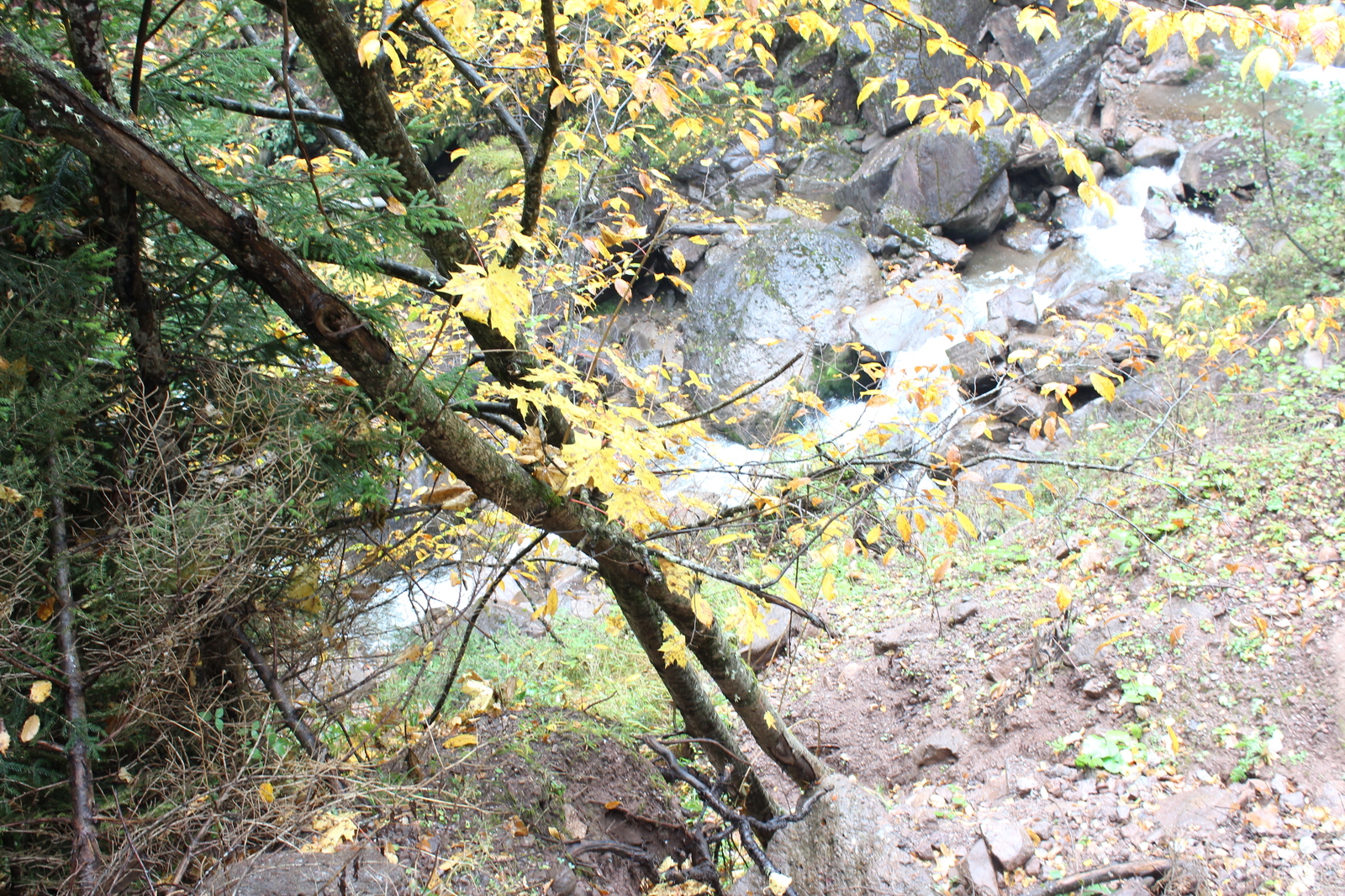 Rest in the mountains. - My, , The mountains, Nature, Karachay-Cherkessia, Tourism, Longpost