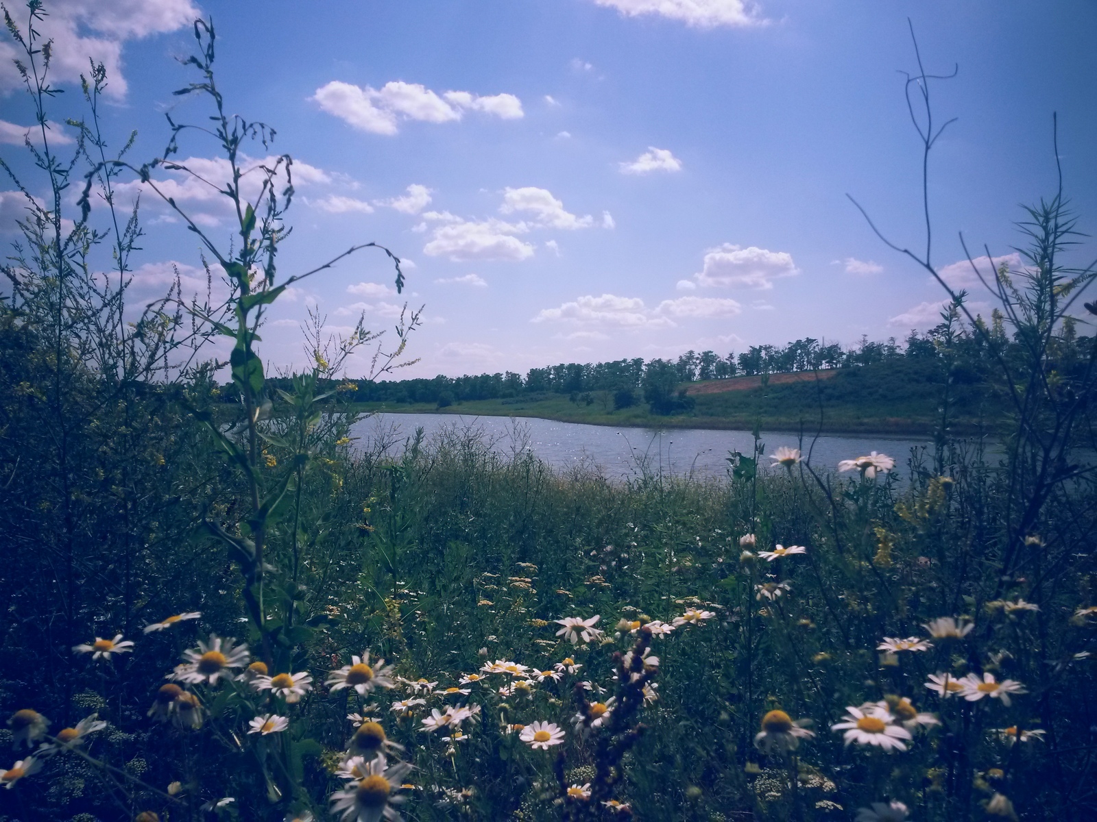 Our southern regions - My, Краснодарский Край, Republic of Adygea, The mountains, Sea, Steppe, Photo, Longpost