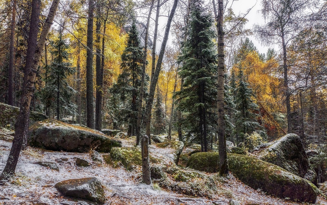 Pillars reserve - Pillars reserve, Krasnoyarsk, Russia, Photo, Nature, Autumn, Landscape, Gotta go, Longpost