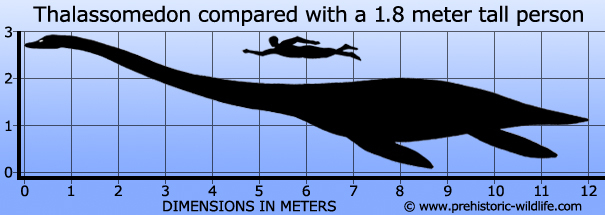 The appearance of dinosaurs. - My, Dinosaurs, Paleontology, Sauropods, Giants, The size, Longpost