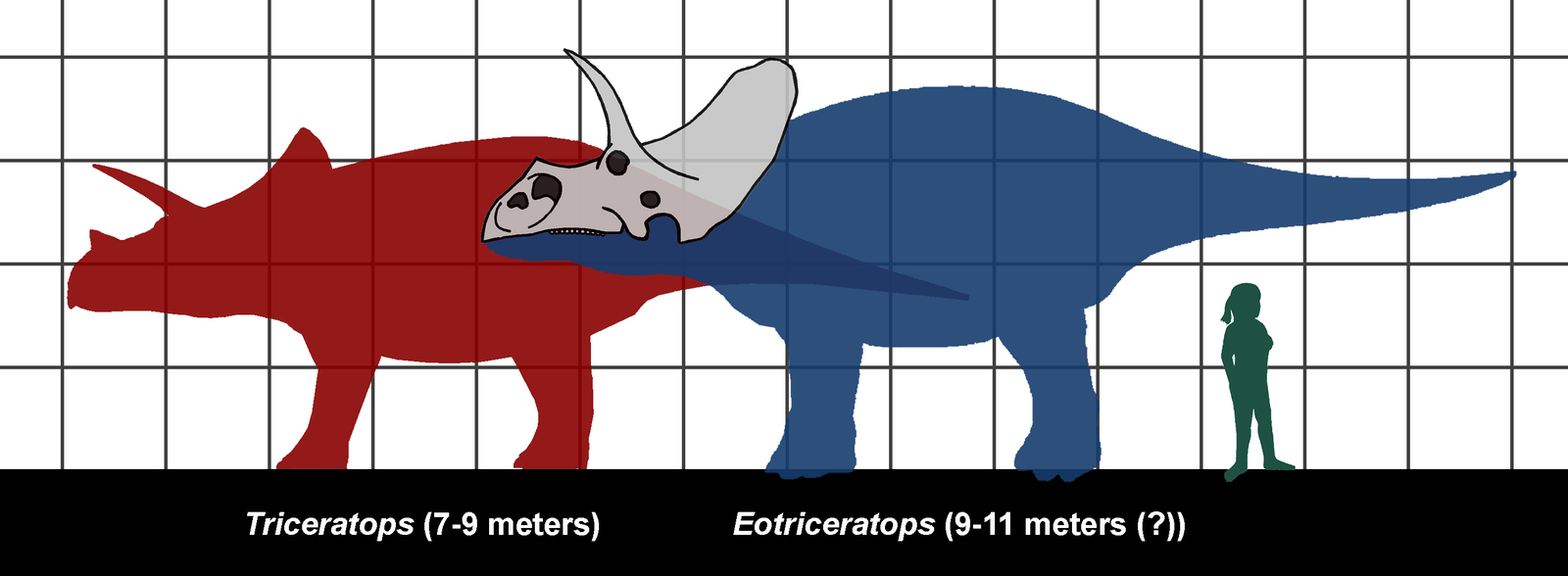 The appearance of dinosaurs. - My, Dinosaurs, Paleontology, Sauropods, Giants, The size, Longpost