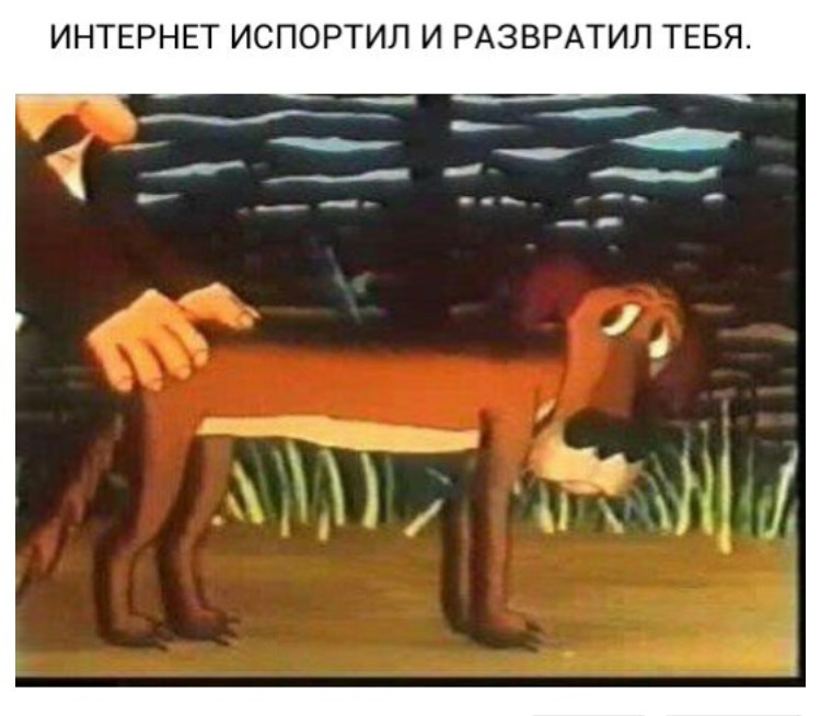 stories from the internet - Alexey Panin, Dog, Cartoons