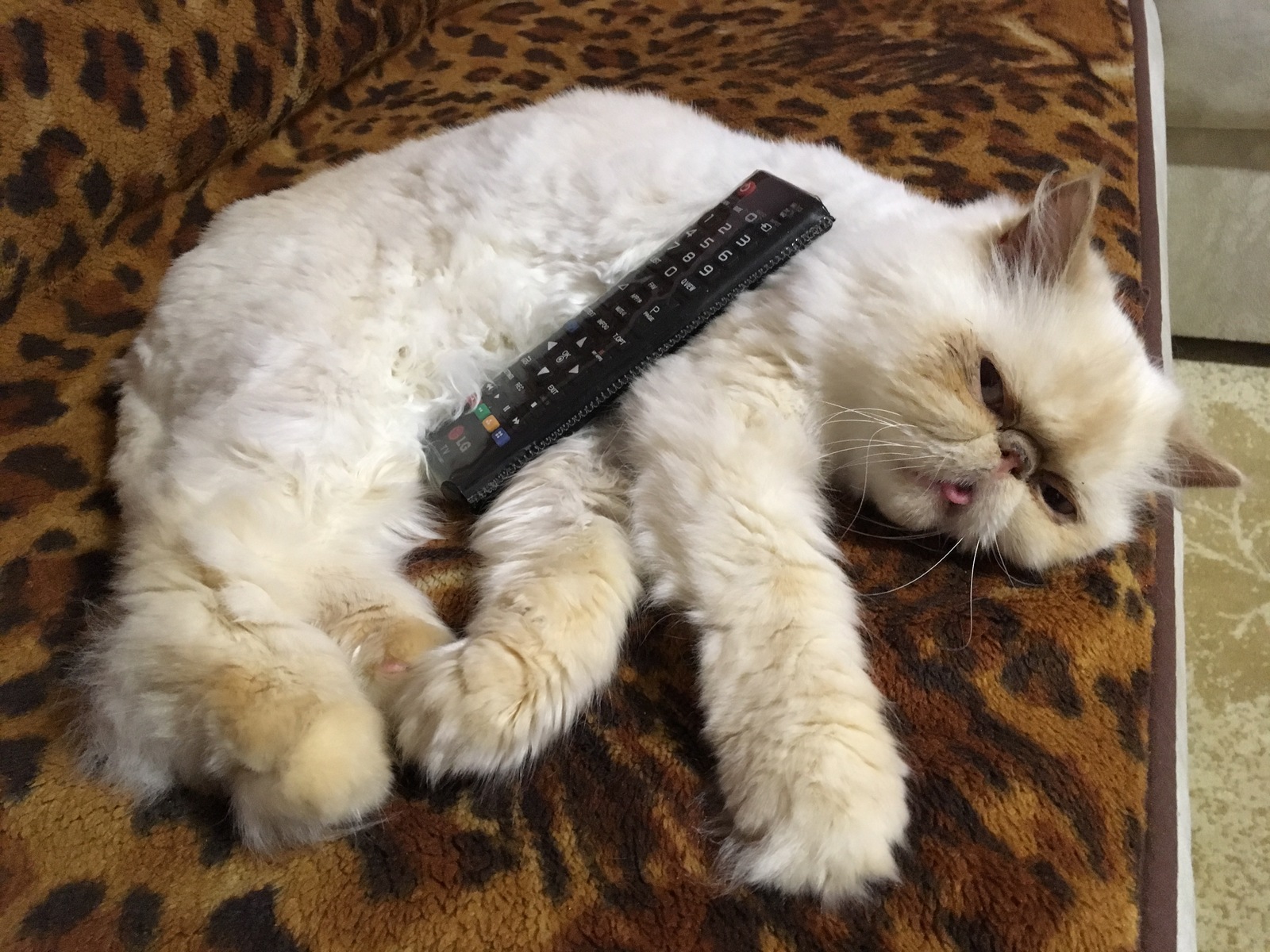 Thor Remote - My, cat, Remote controller, Thor, Not, , Worthy