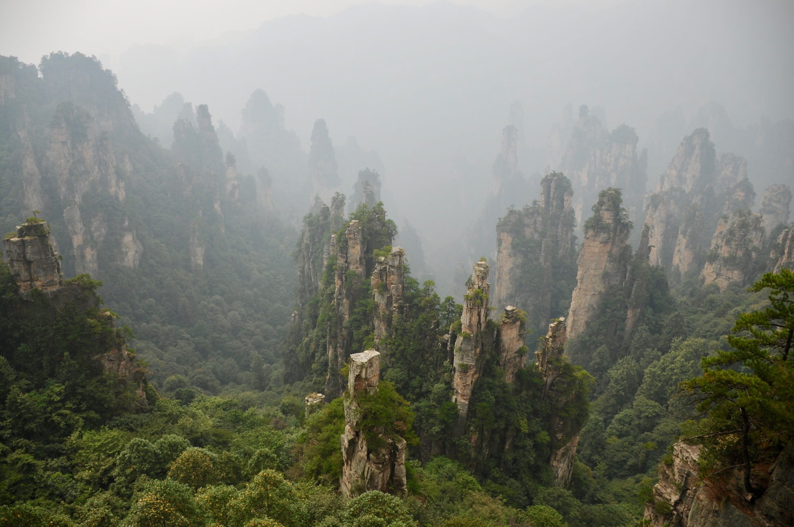 Немного моих фотографий природного парка Чжанцзяцзе (Zhangjiajie) Китай - Моё, Китай, Отпуск, Nikon, Длиннопост