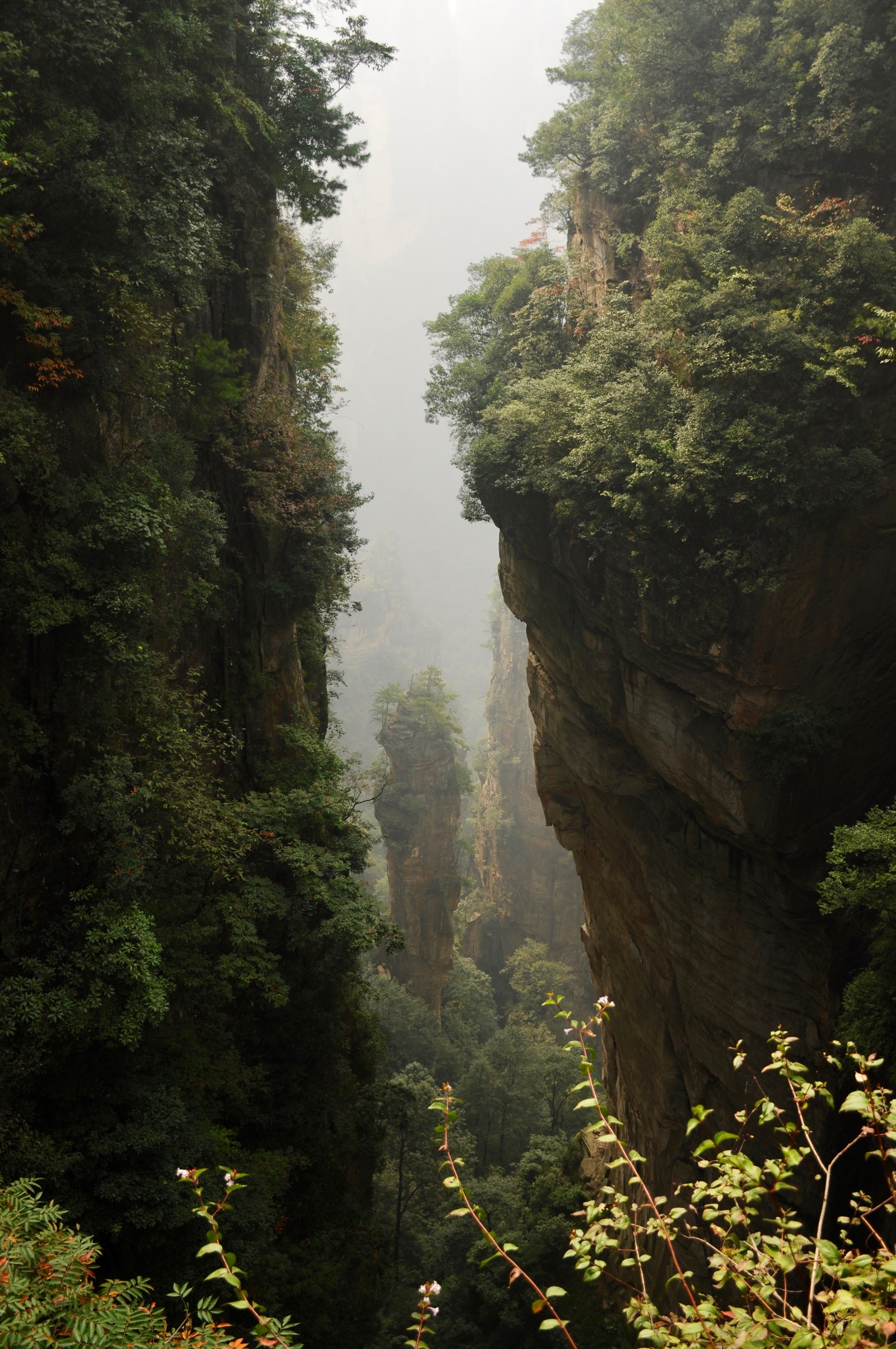 Немного моих фотографий природного парка Чжанцзяцзе (Zhangjiajie) Китай - Моё, Китай, Отпуск, Nikon, Длиннопост