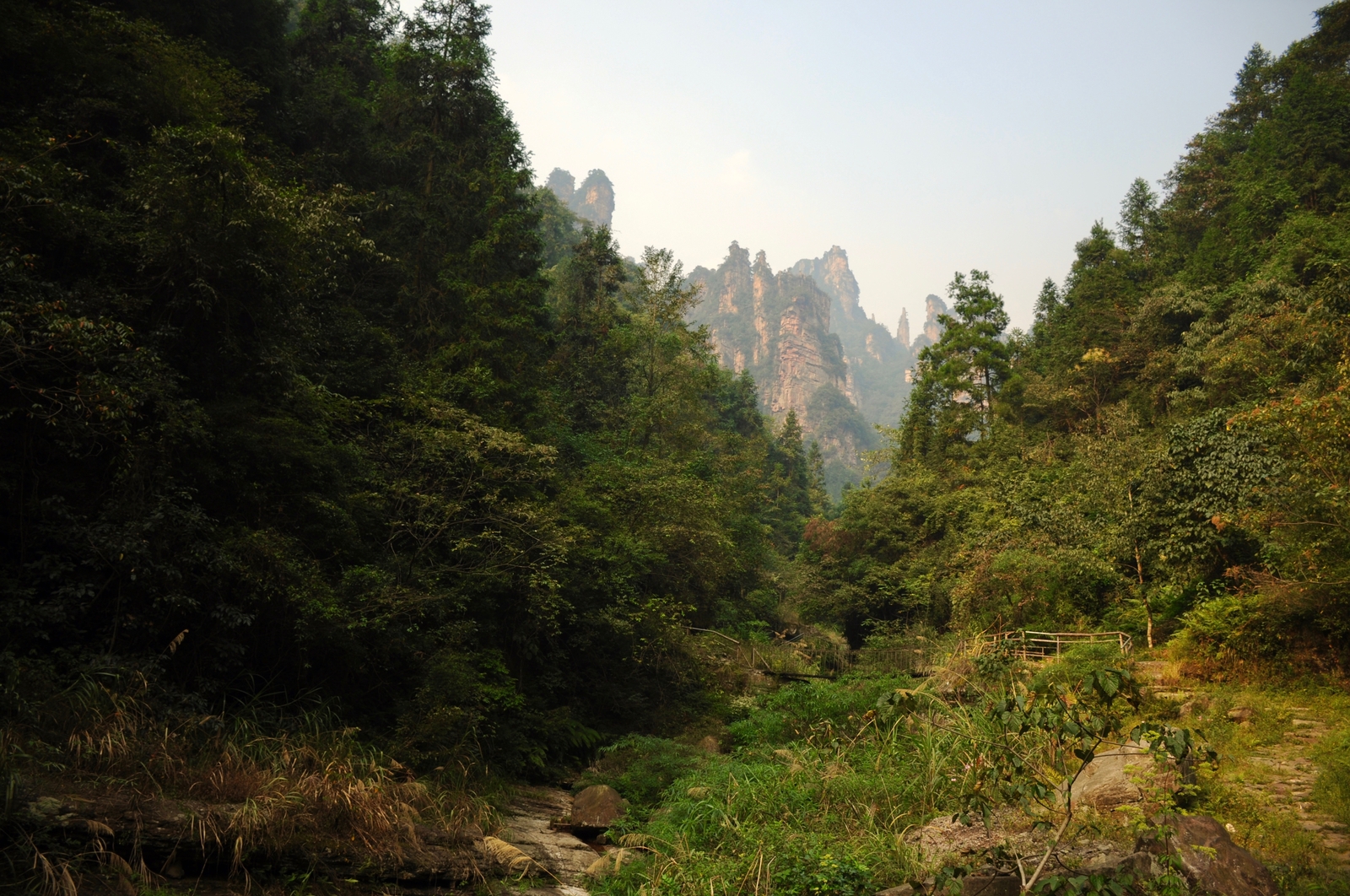 Немного моих фотографий природного парка Чжанцзяцзе (Zhangjiajie) Китай - Моё, Китай, Отпуск, Nikon, Длиннопост