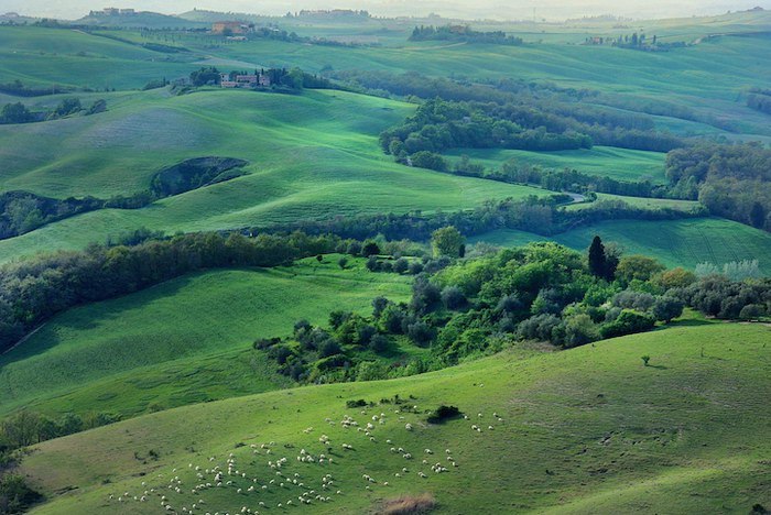 Autumn Tuscany... Photos of falling asleep nature. - Nature, Landscape, Italy, Tuscany, Longpost