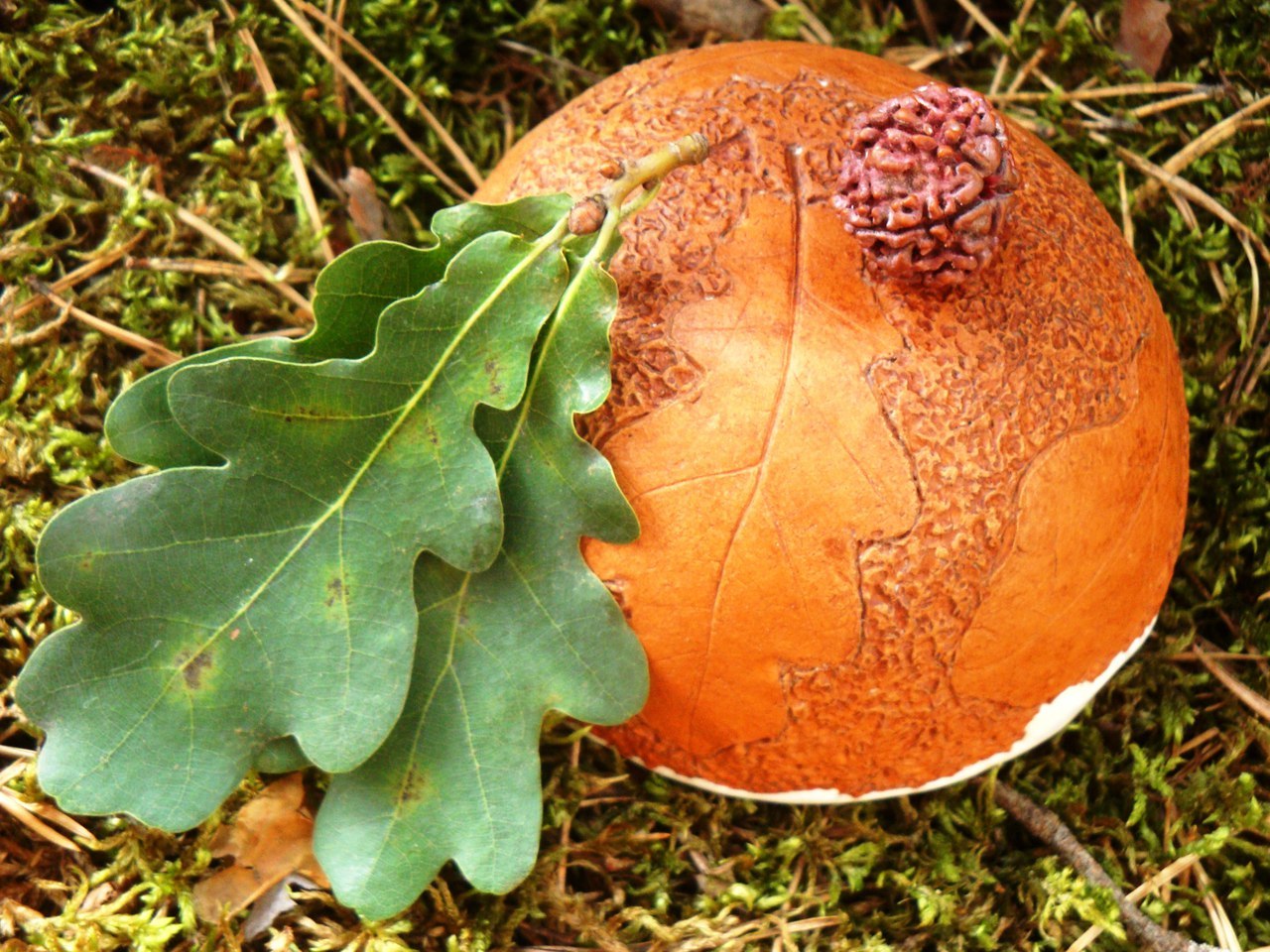 How to make tactile bowls and bowls using natural materials - My, , Ceramics, Longpost