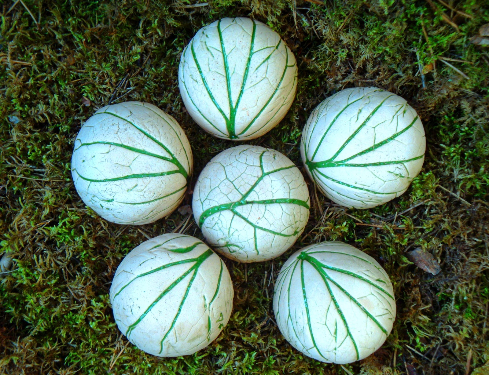 How to make tactile bowls and bowls using natural materials - My, , Ceramics, Longpost