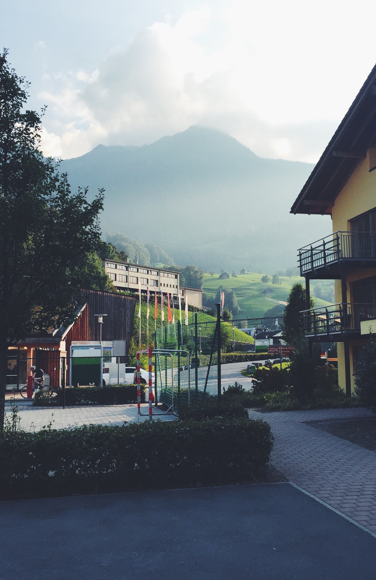 Alpine morning - My, The mountains, Alps, Morning, Grass