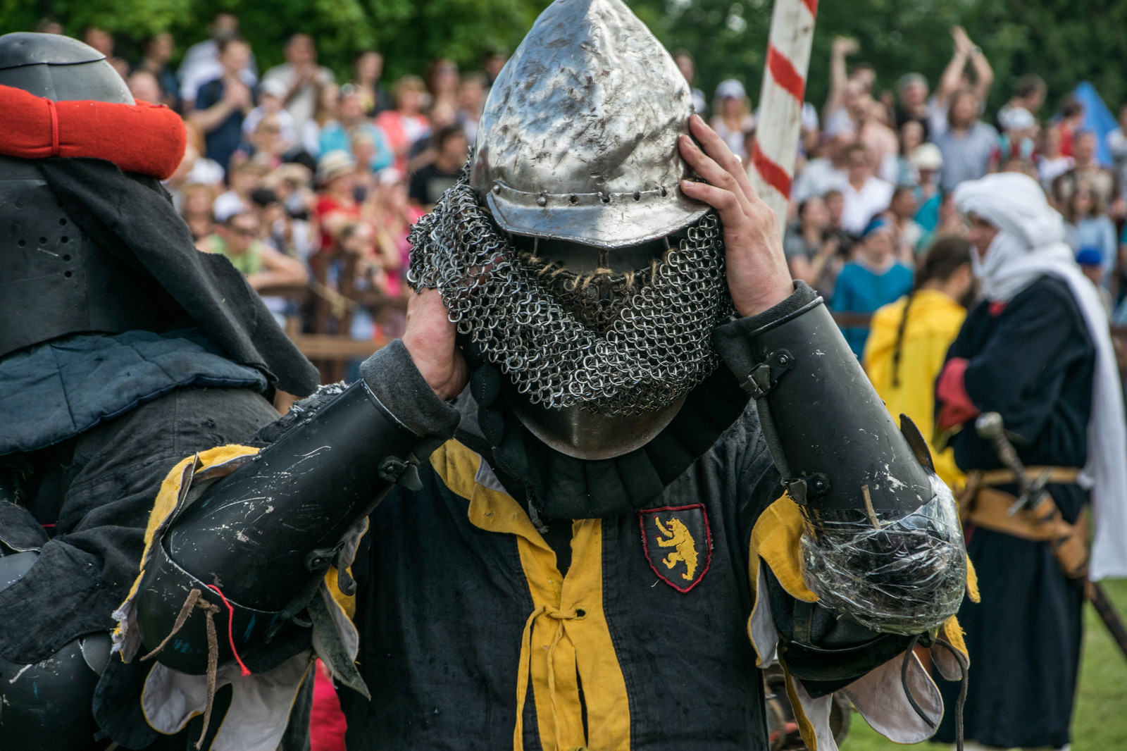 Festival Our Grunwald 2016 in Dudutki (Belarus) - My, Photo, The festival, Knight, Armor, Reconstruction, Knights