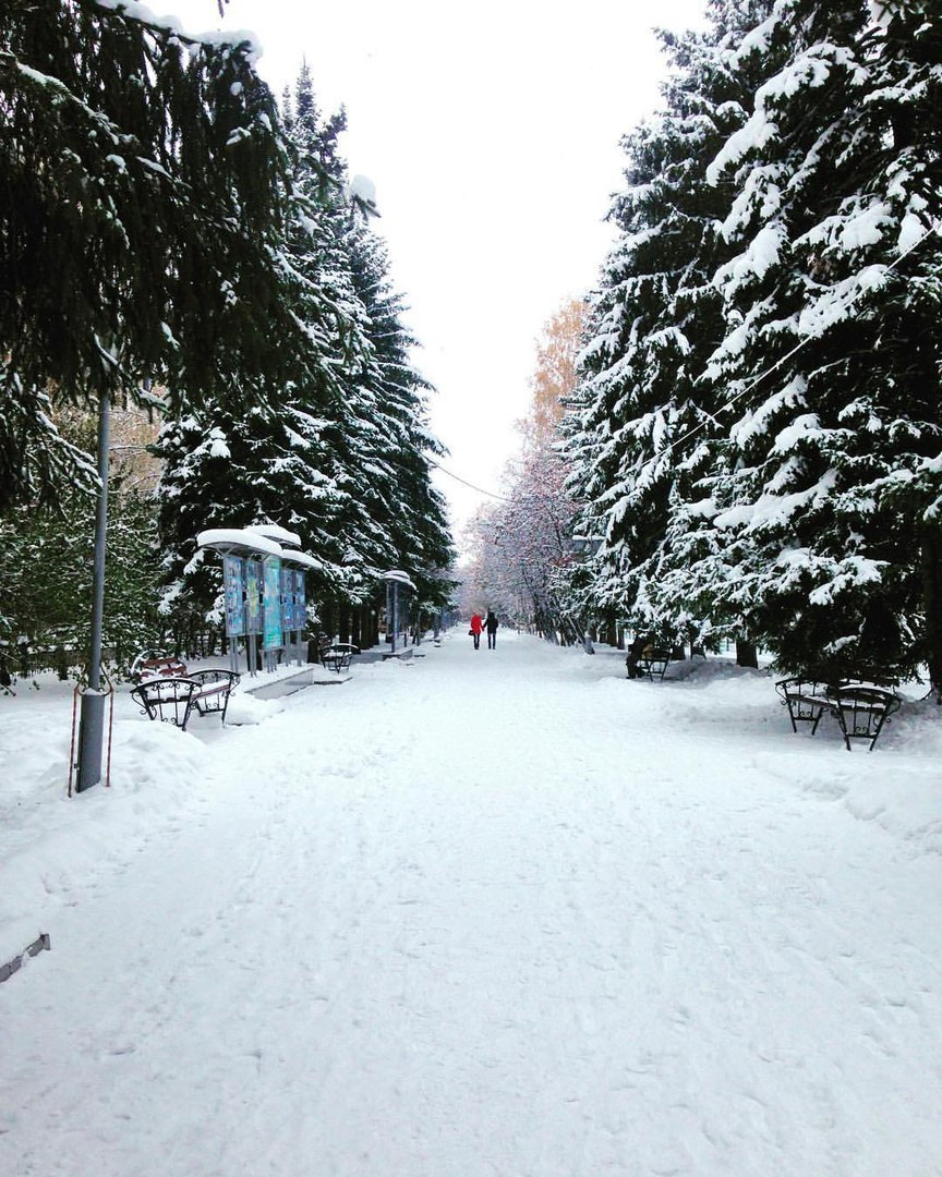 Утро в Томске - Томск, Зима, Утро, Снег