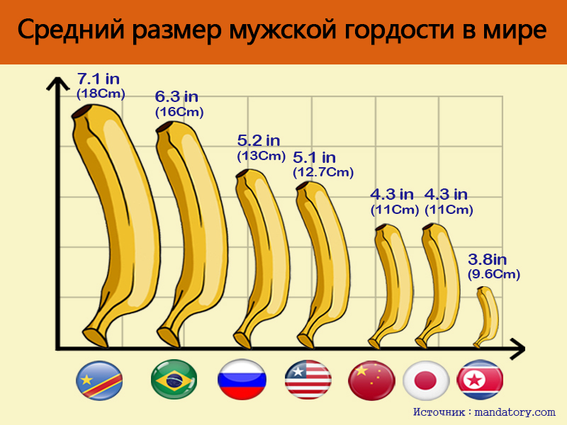 My husband has the same size as the North Koreans..(;_;) - NSFW, Penis, The size, Sadness