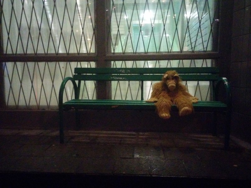 Mood: lonely alpha( - Benches, Alf, Sadness