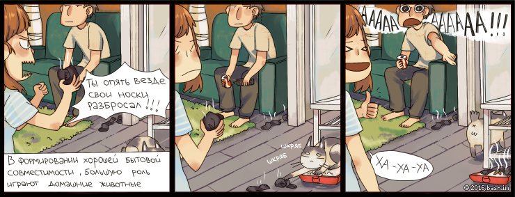Joint life and a cat ... - Lin, Comics, Living together