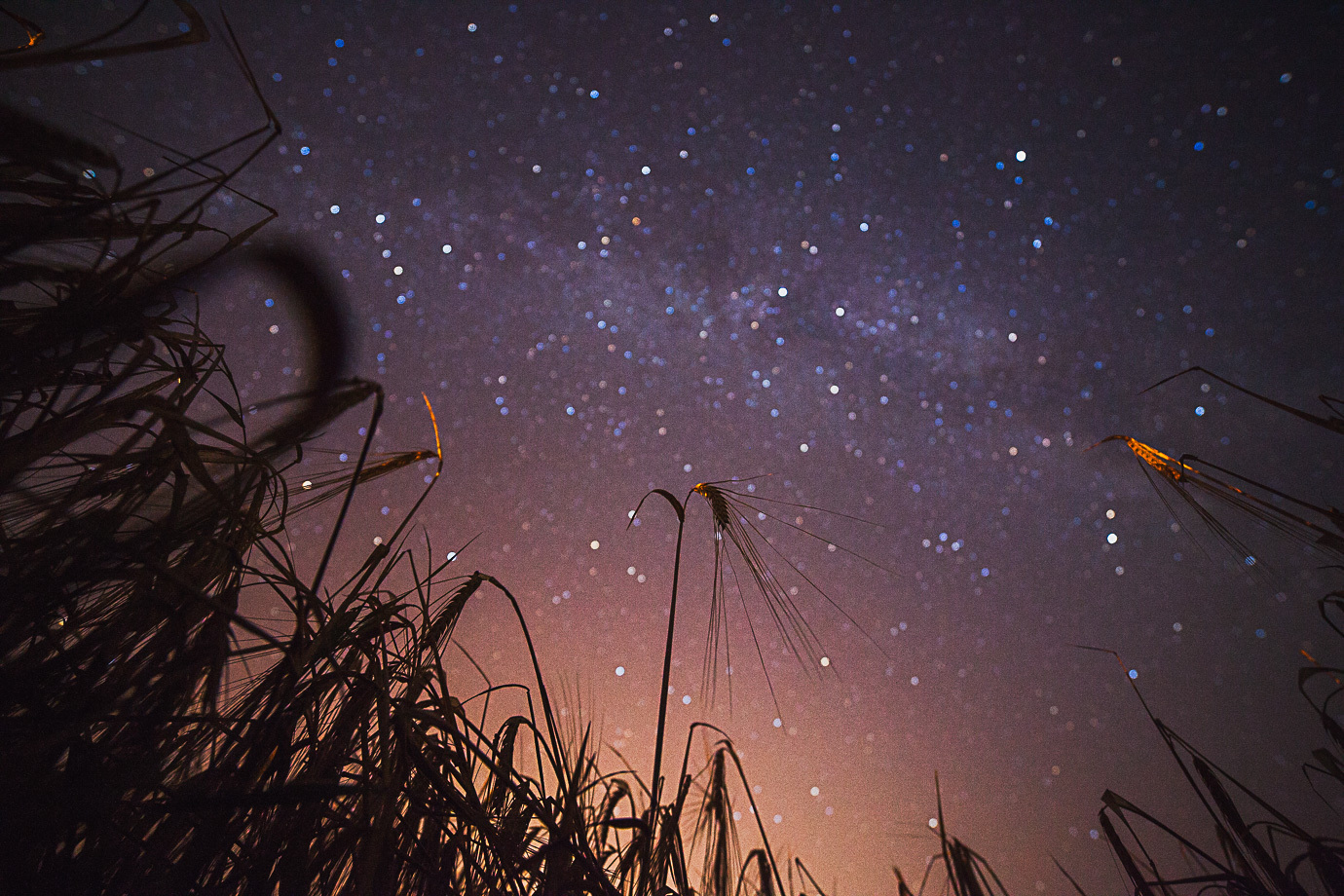 Произведение звездопад. Летняя ночь. Звездное небо. Звездное небо в поле. Летнее ночное небо.