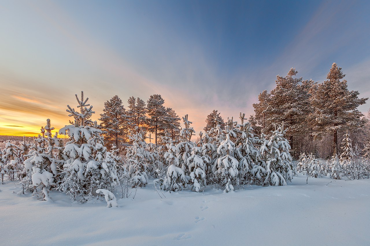 In the vicinity of the city of Apatity - Apatity, Kola Peninsula, Russia, Winter, Photo, Nature, Snow, Landscape, Longpost