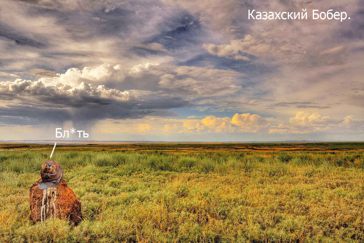 Не в том месте не в то время. - Моё, Юмор, Природа, Животные, Длиннопост