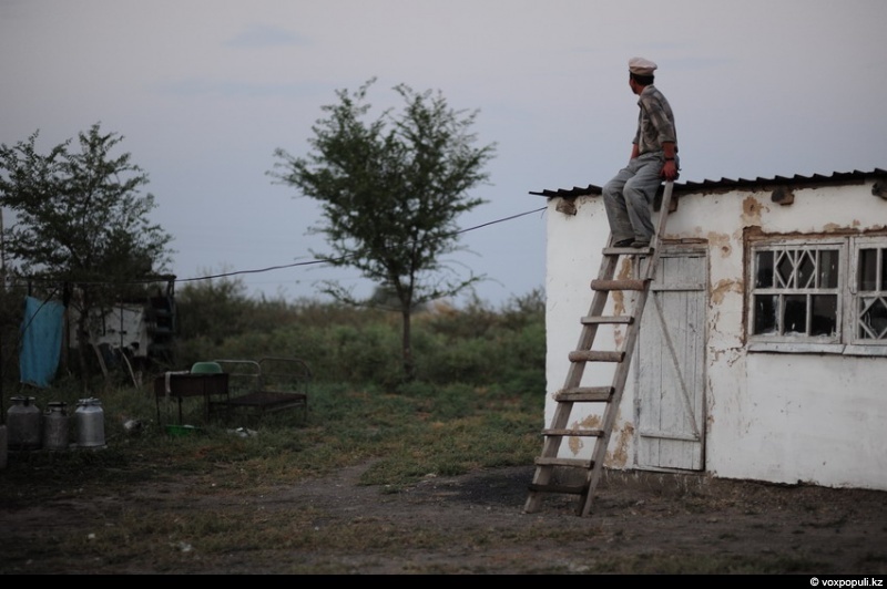 Catching a horse for kazy - Horses, Farm, Longpost