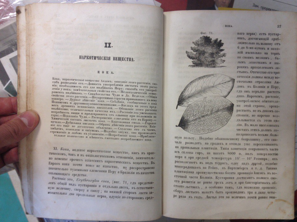 Household chemistry 1858. Numbering the book? - My, Chemistry, My, Poppy, Coca, Mushrooms, , Old books, Rarity, Longpost