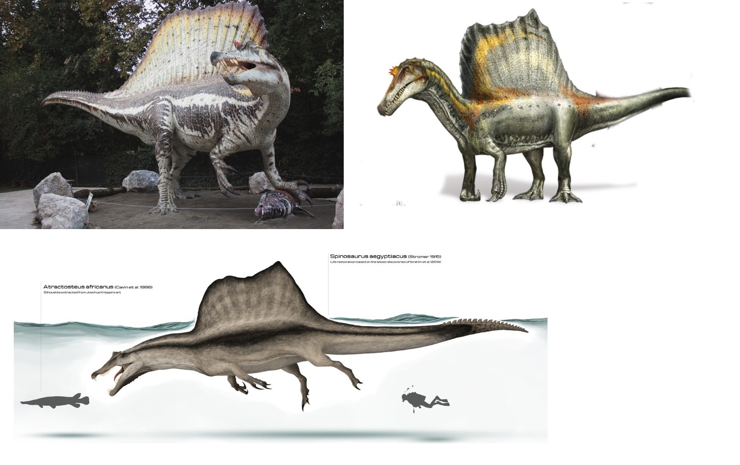 Эволюция внешности спинозавра. - Моё, Динозавры, Палеонтология, Внешность, Спинозавр, Длиннопост