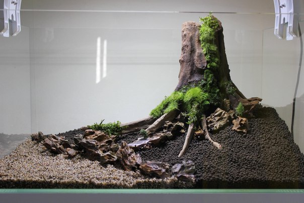 Creating an aquascape - Aquascape, , Aquarium, Aquarium, Longpost