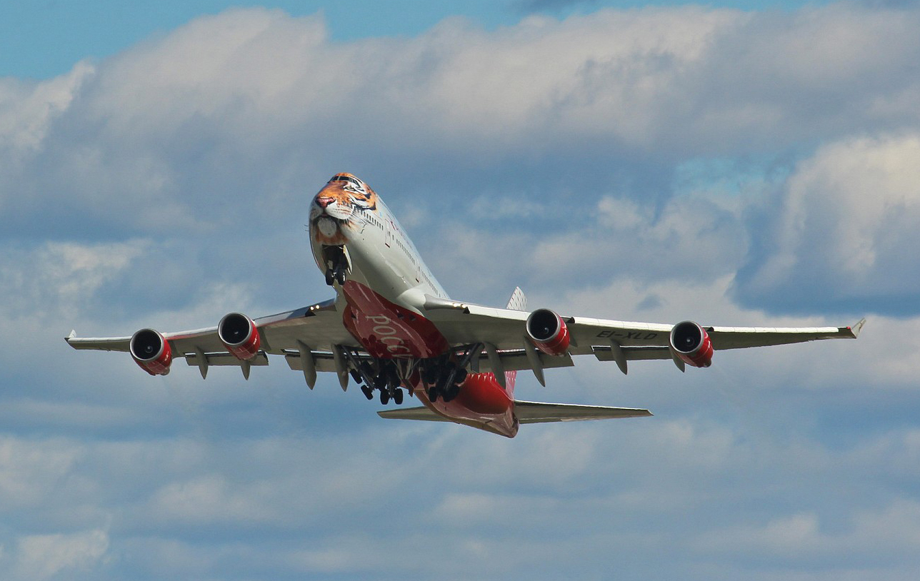 Tigrolet in the sky over Artyom - My, Aviation, The photo, Vladivostok, Tiger, Longpost