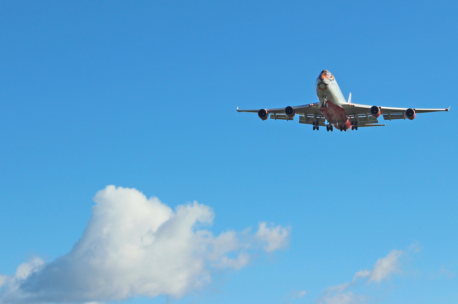 Tigrolet in the sky over Artyom - My, Aviation, The photo, Vladivostok, Tiger, Longpost