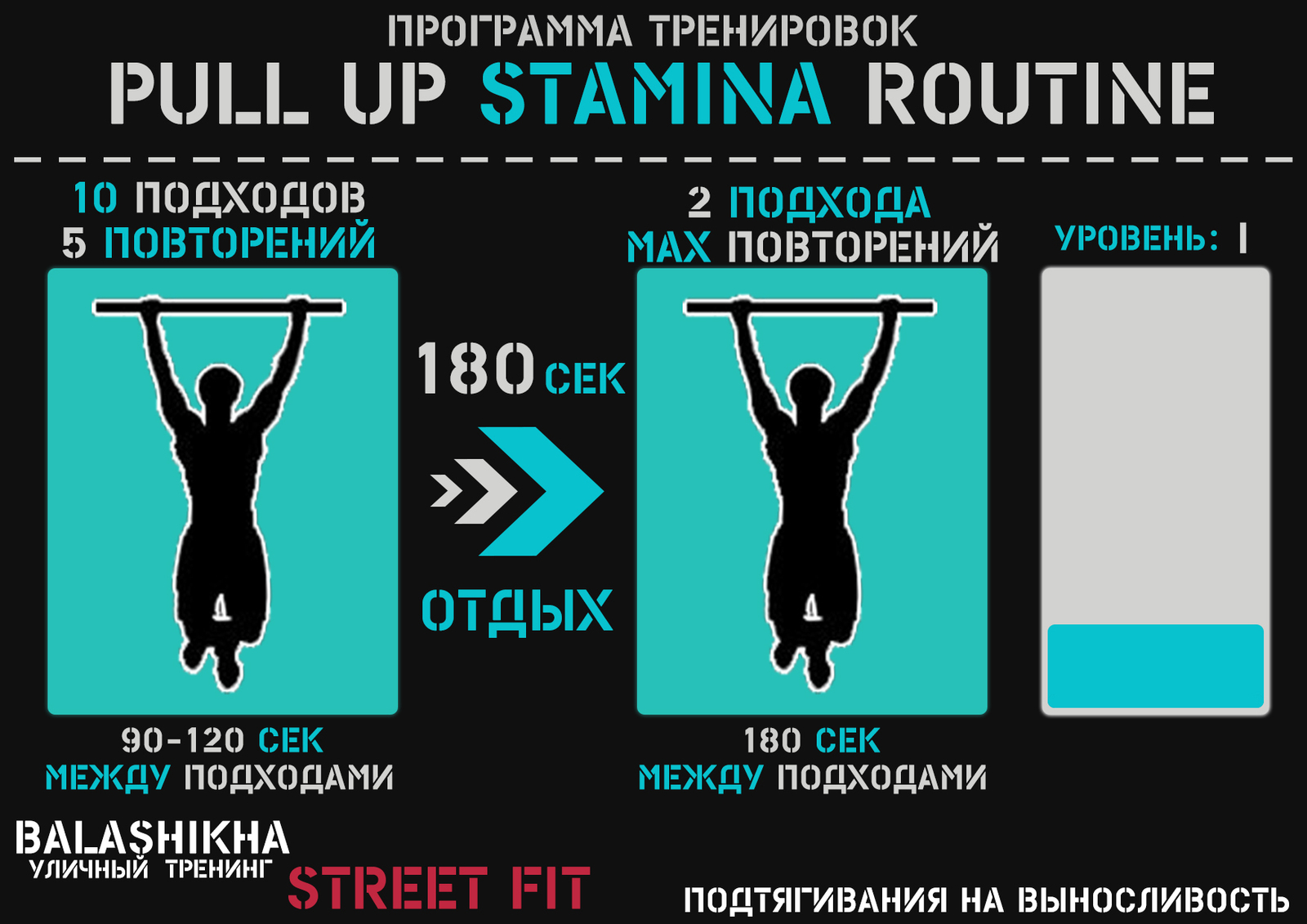 Pull-up programs - My, Pull-ups, Workout, Longpost, Calisthenica, Exercises, Training program, Physical Education