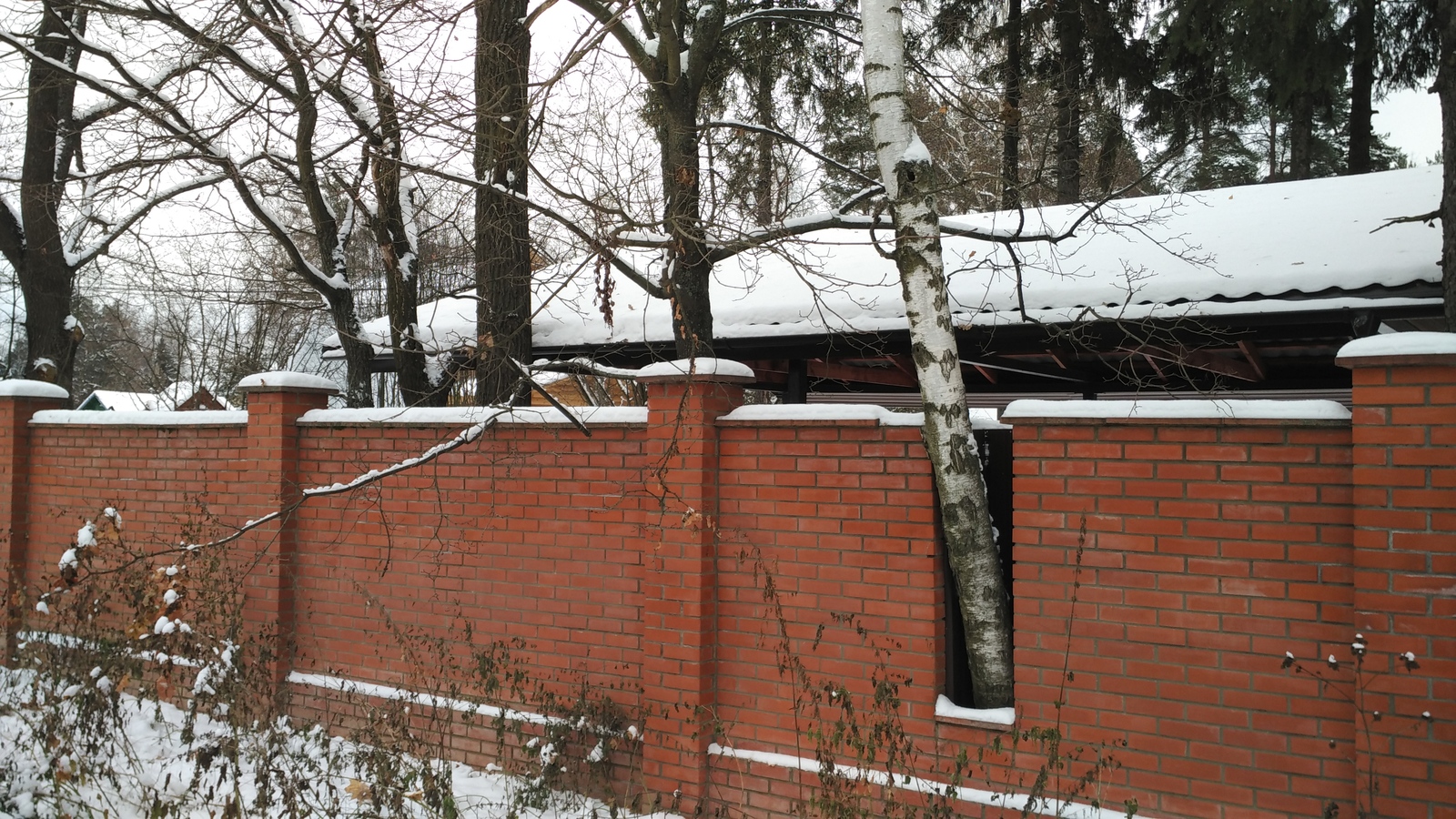 Both yours and ours. - My, Nature, Fence, Photo