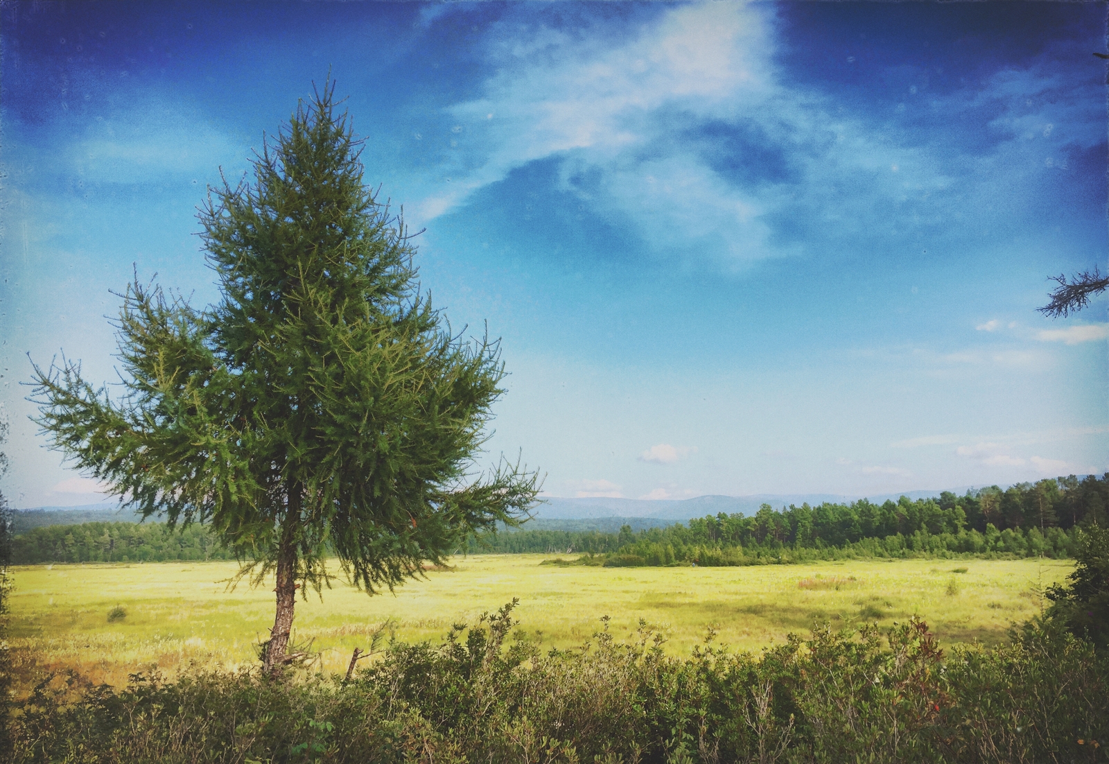 Lake Baikal. - My, Baikal, , Summer, Russia, Nature, Photo, The photo, Longpost