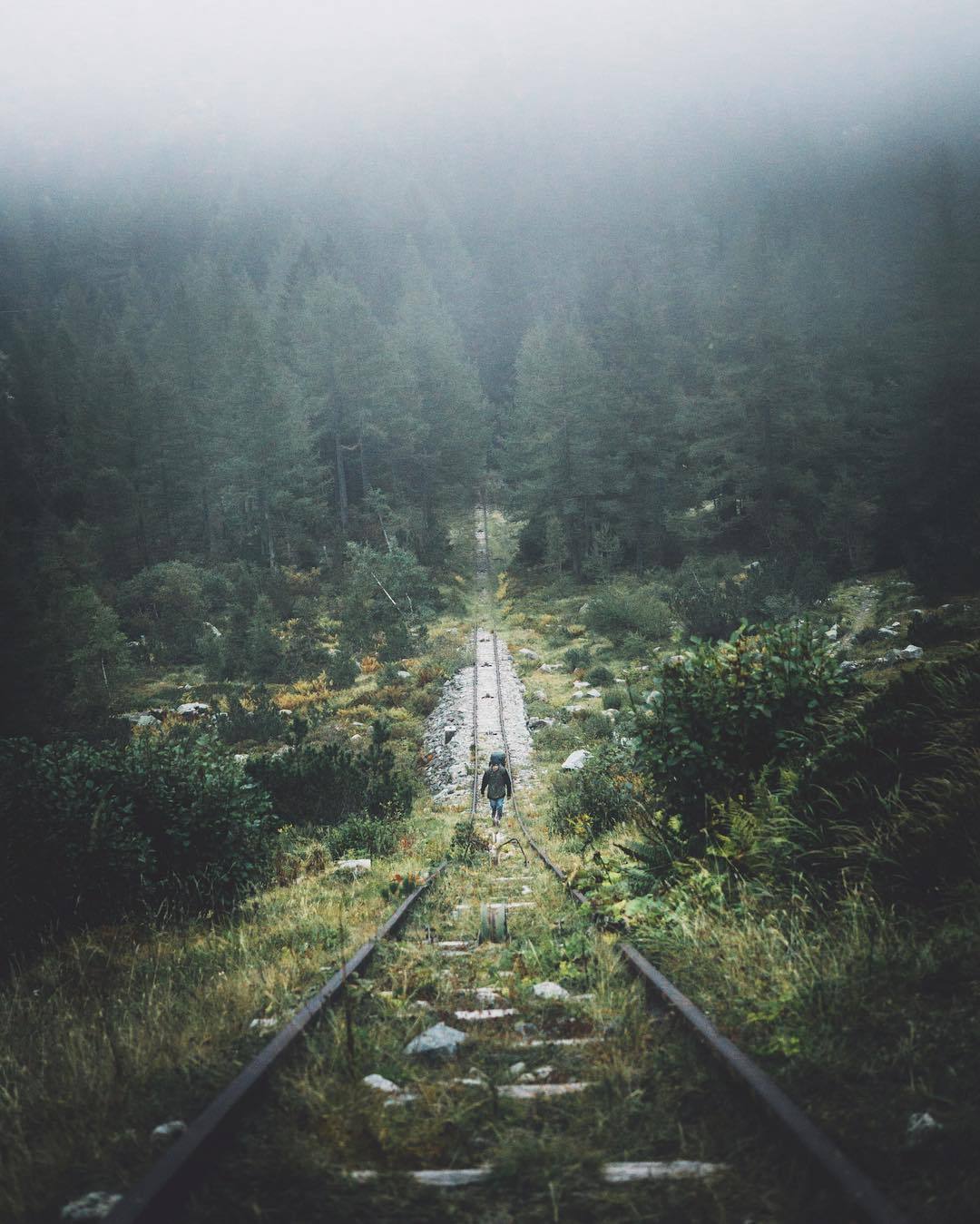 Atmospheric photo. Abandoned railway track - Photo, Forest, Railway