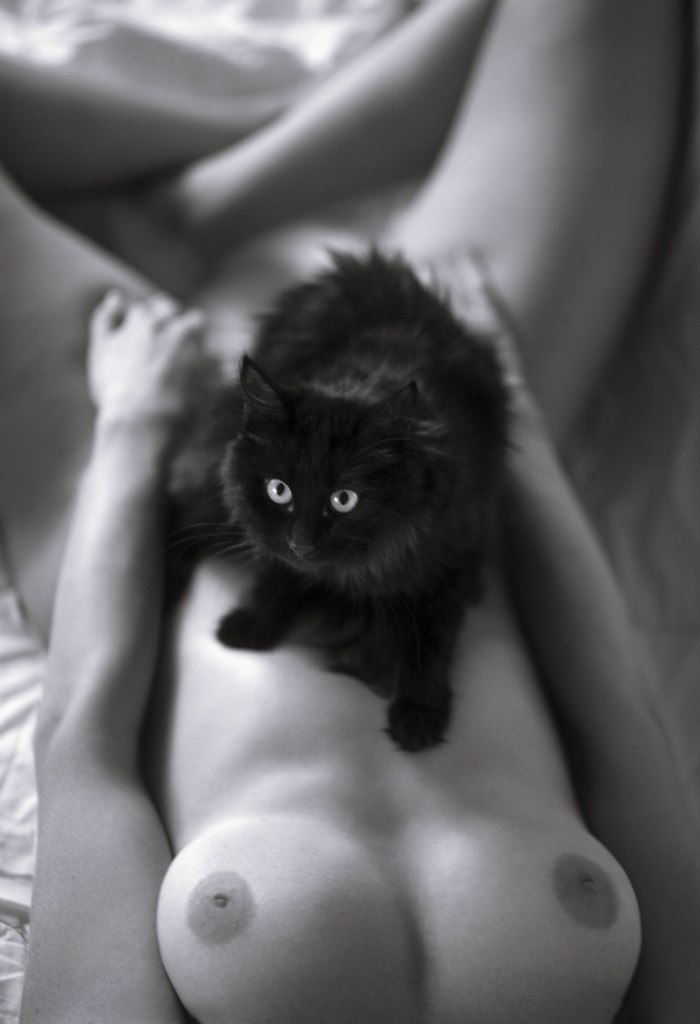 What Rules the Internet - NSFW, , Strawberry, Black and white, Boobs, cat, Longpost