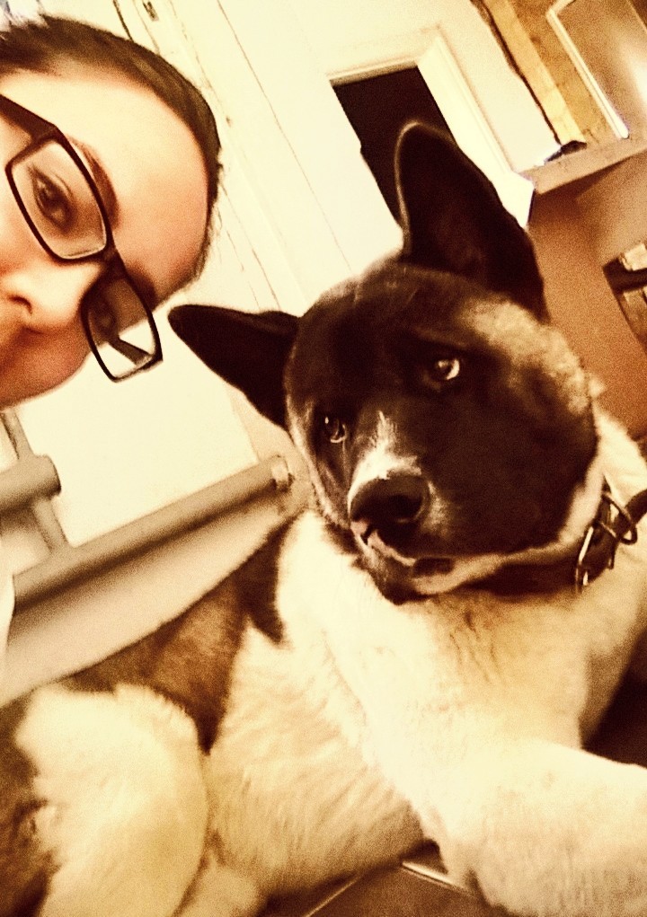 Favorite Akitatina - My, Dog, American Akita