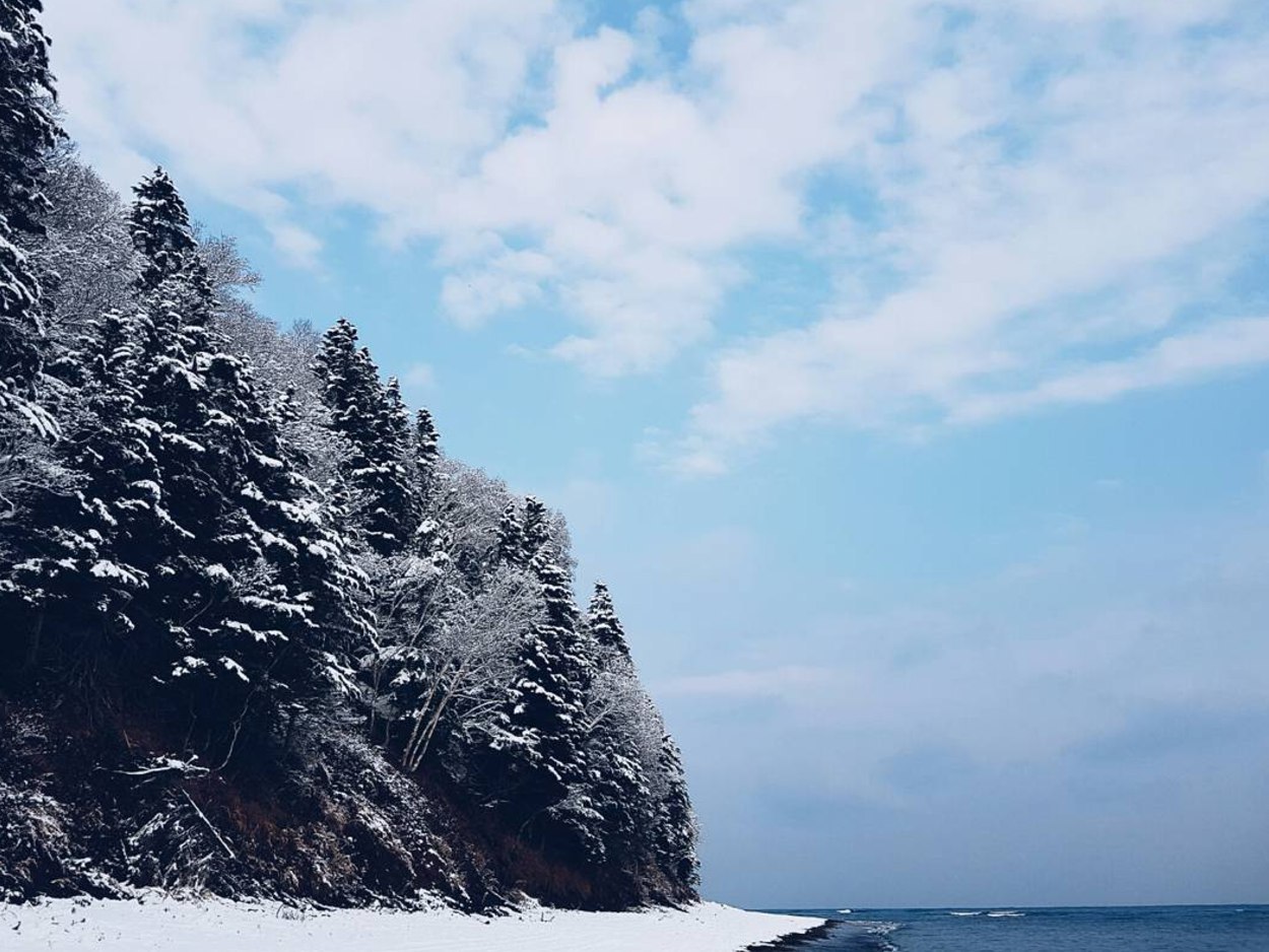 Selection from last weekend on Sakhalin - Photo, Sakhalin, Nature, beauty, Fox, Snow, Forest, , Longpost