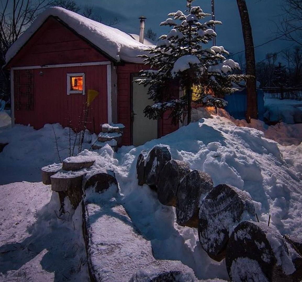 Selection from last weekend on Sakhalin - Photo, Sakhalin, Nature, beauty, Fox, Snow, Forest, , Longpost