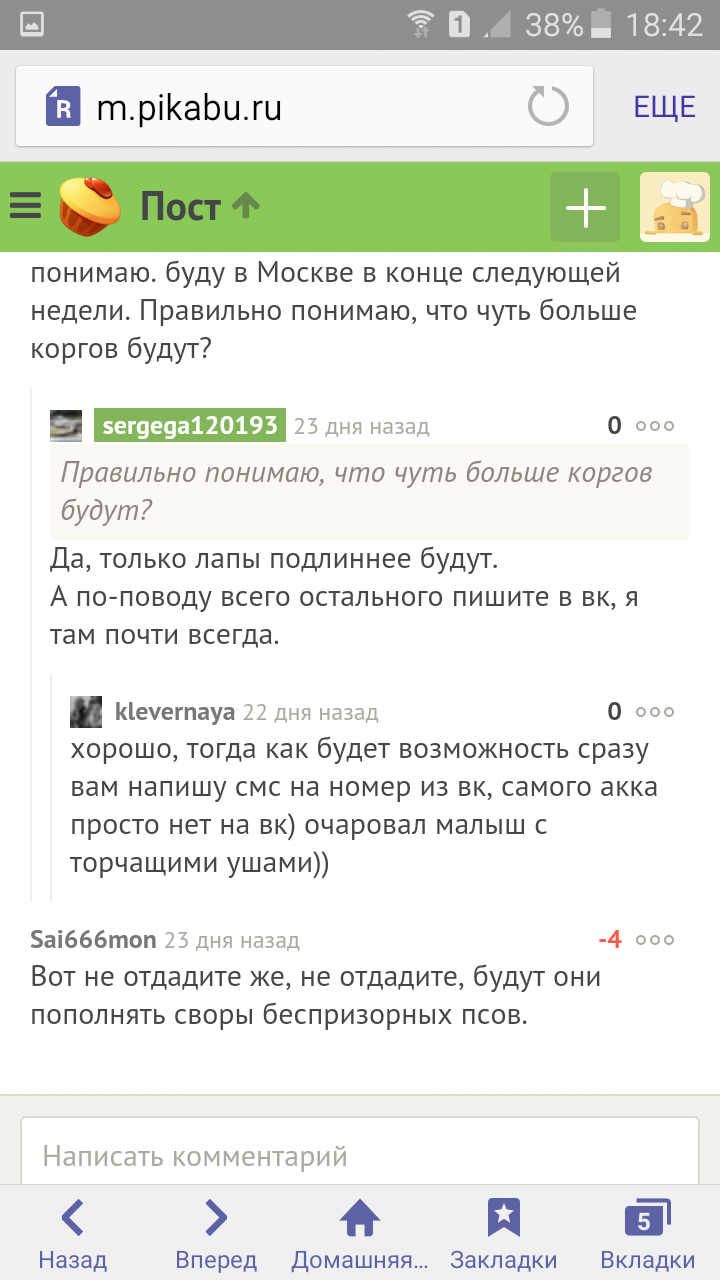 Как мы ушастое счастье на пикабу нашли. - Моё, Собака, В добрые руки, Щенки, Длиннопост