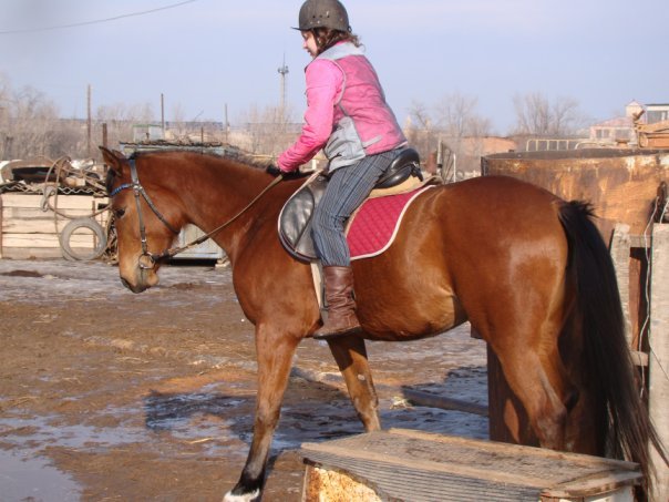 My Riding Difficulties - My, Horses, Horses, Memories, Difficulties, Education, Longpost