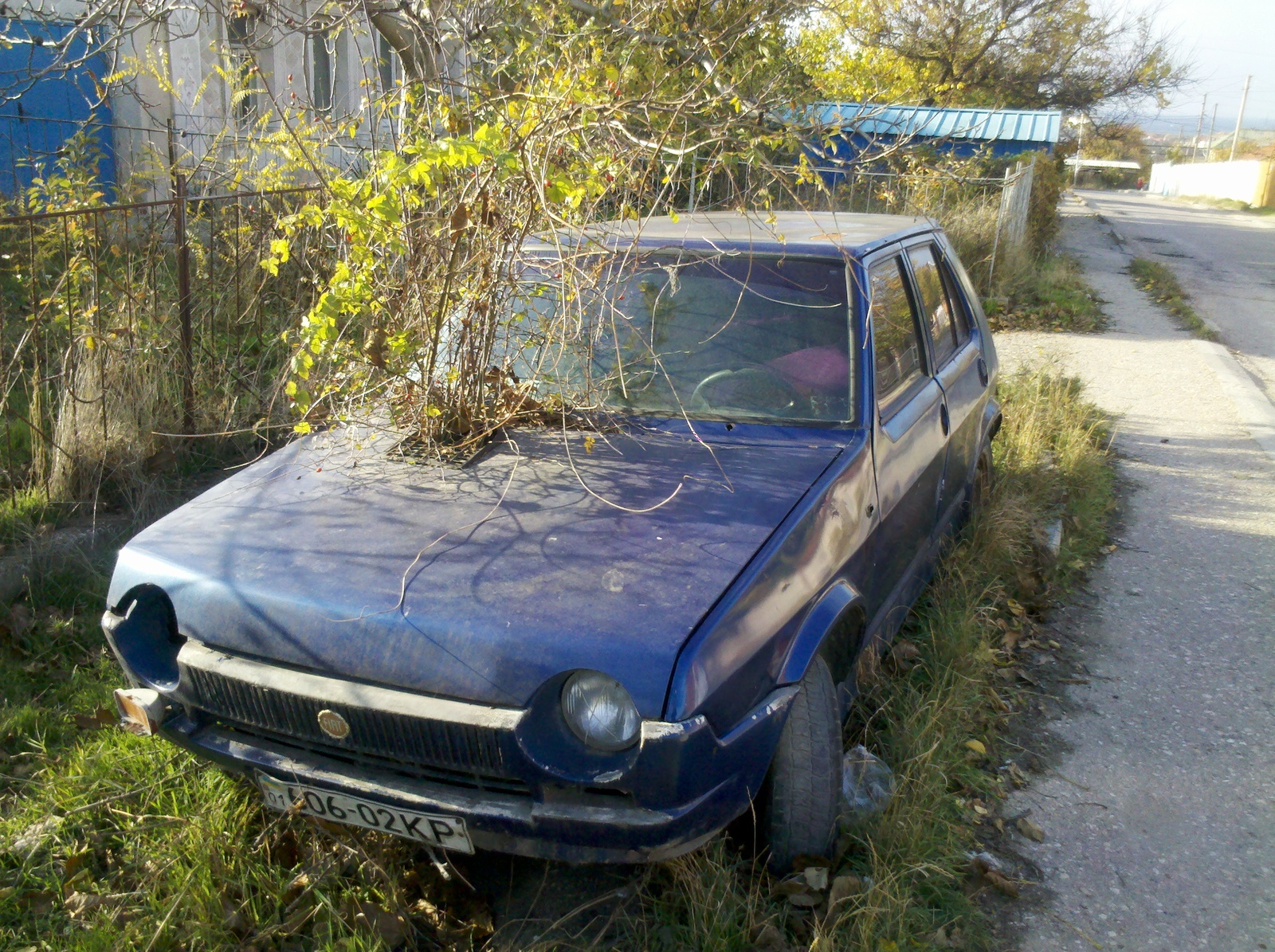 Даже у шиповника есть свой автомобиль... | Пикабу