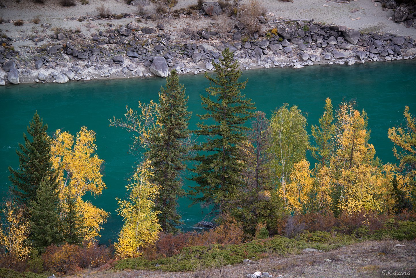 Река Катунь - Катунь, Алтай, Россия, Фото, Природа, Осень, Надо съездить, Пейзаж, Длиннопост, Республика Алтай