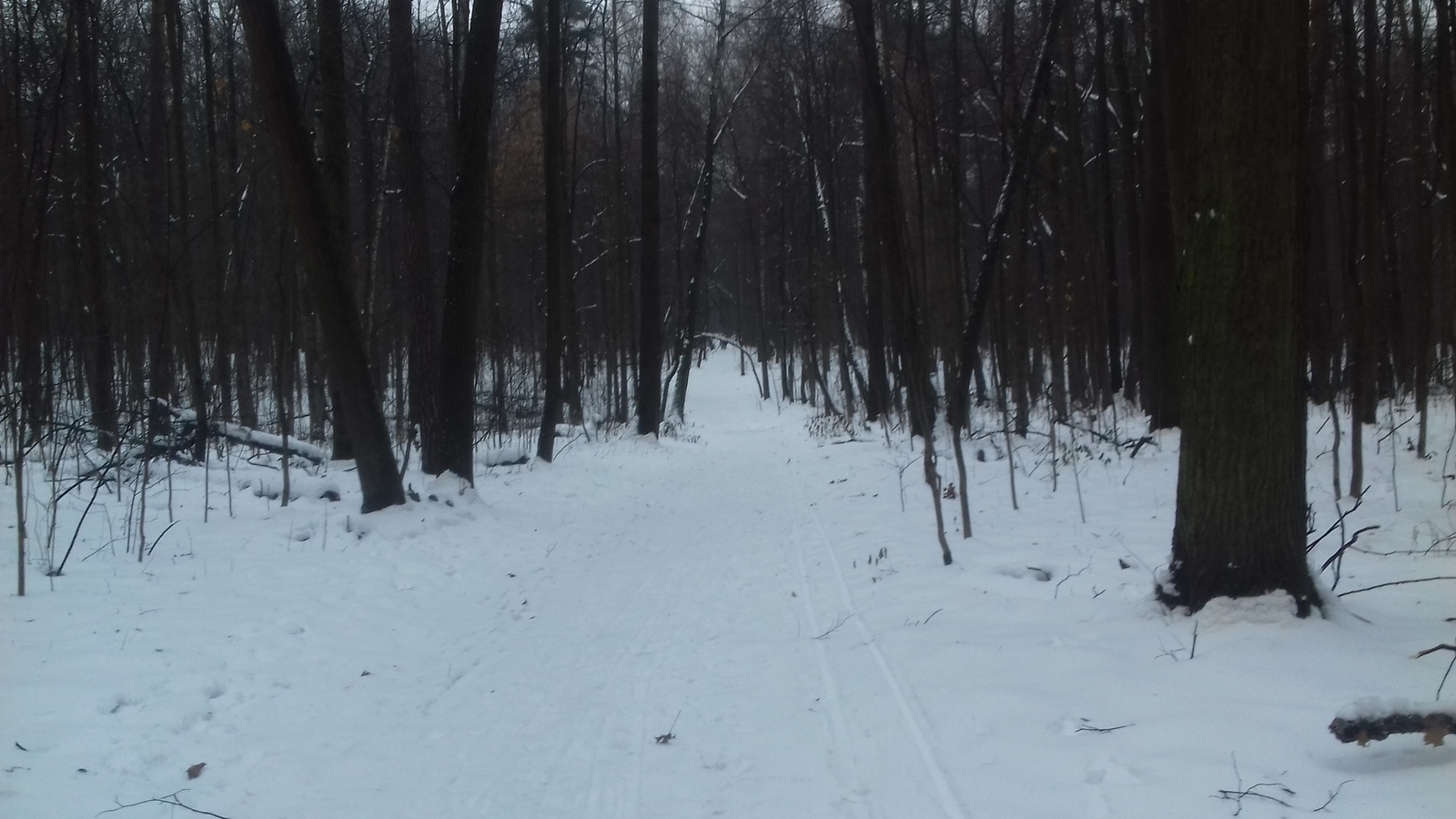 And with news about the weather. A little late but still. Yesterday I rode the trails in the park - My, Weather, Freezing rain, A bike, Winter, Photo, My, Longpost