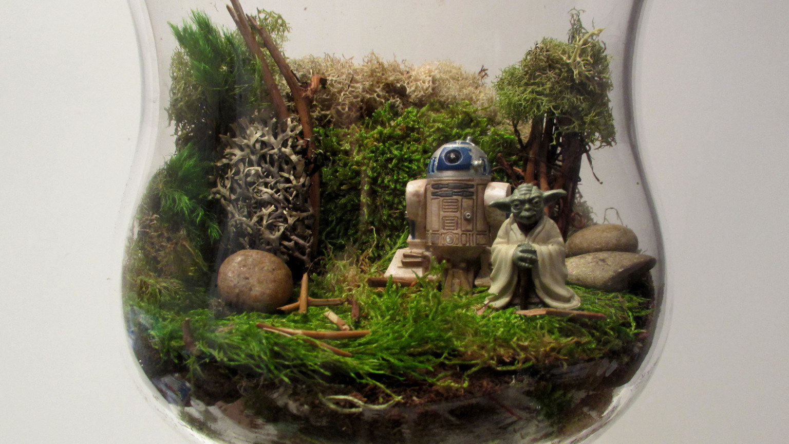 Terrariums based on Star Wars - Star Wars, Terrarium, Terrariumistics, Yoda, Ewoks, Moss, Longpost