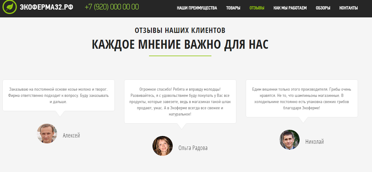 Вся суть реальных отзывов... - Моё, Бот, Интернет-Маркетинг, Отзыв, Реклама, Россия, Лендинги, Маркетологи, Длиннопост, Лендинг