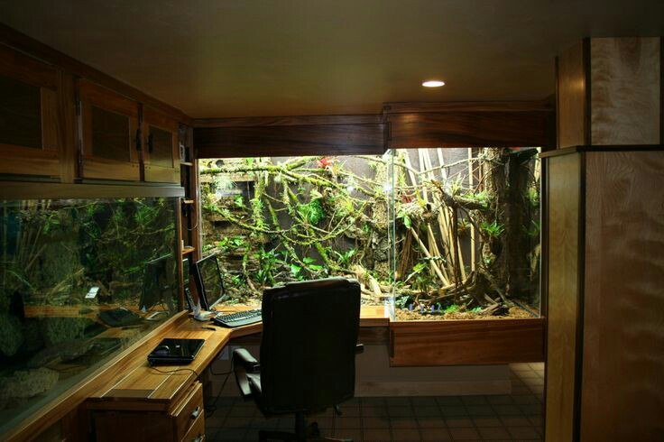 Workplace of a terrariumist - Terrarium, Workplace, Nothing extra