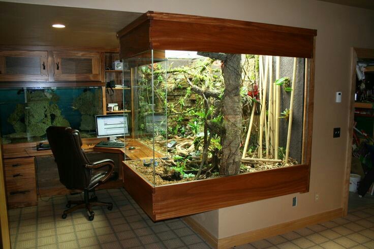 Workplace of a terrariumist - Terrarium, Workplace, Nothing extra