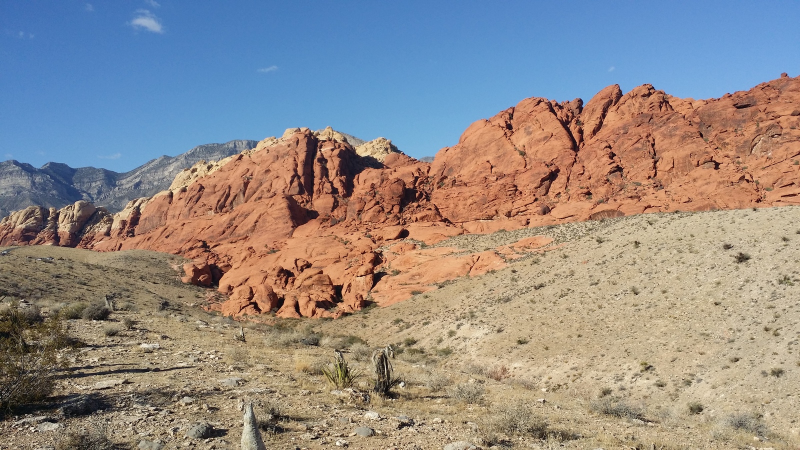 Red Rock Canyon National Park. State of Nevada - My, My, Travels, , Nevada, USA, Longpost