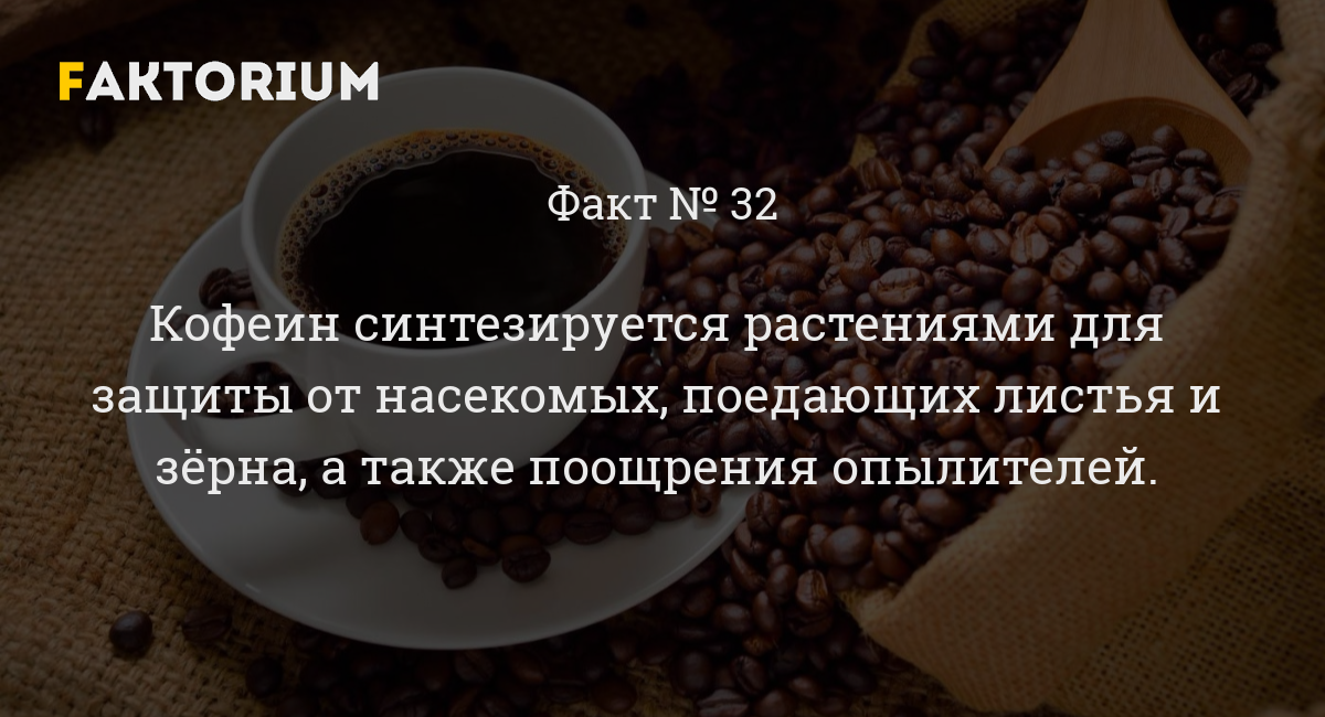 Unexpectedly about your favorite drink! - Coffee, Caffeine, Nauchpop, Nature