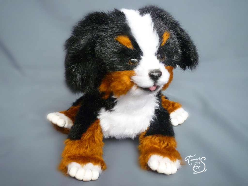 Bernese mountain dog puppy - My, Author's toy, Puppies, Dog, Needlework, With your own hands, Longpost