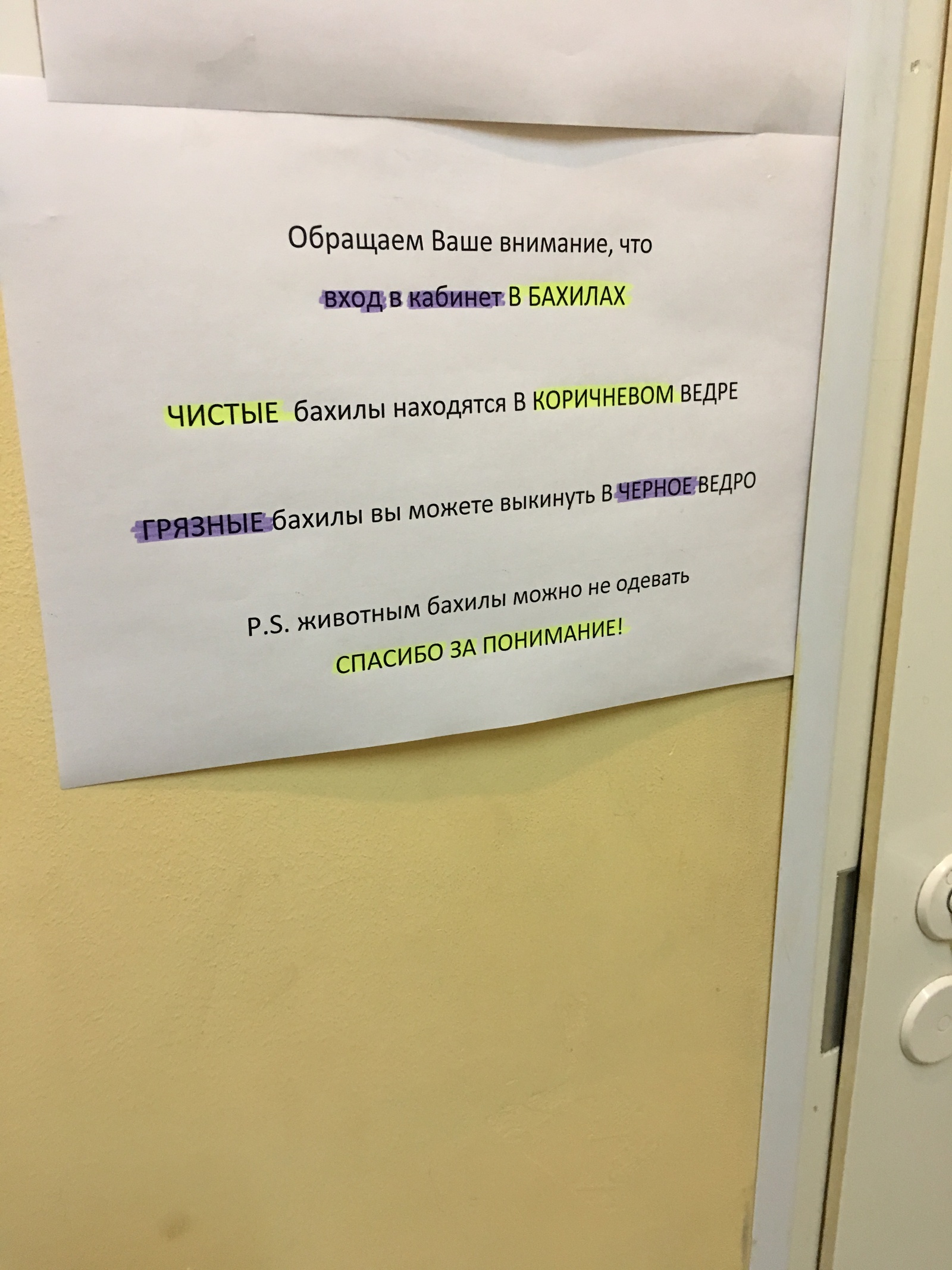 Лично я бы выделила только надпись о животных... - Моё, Ветеринарная клиника, Бахилы