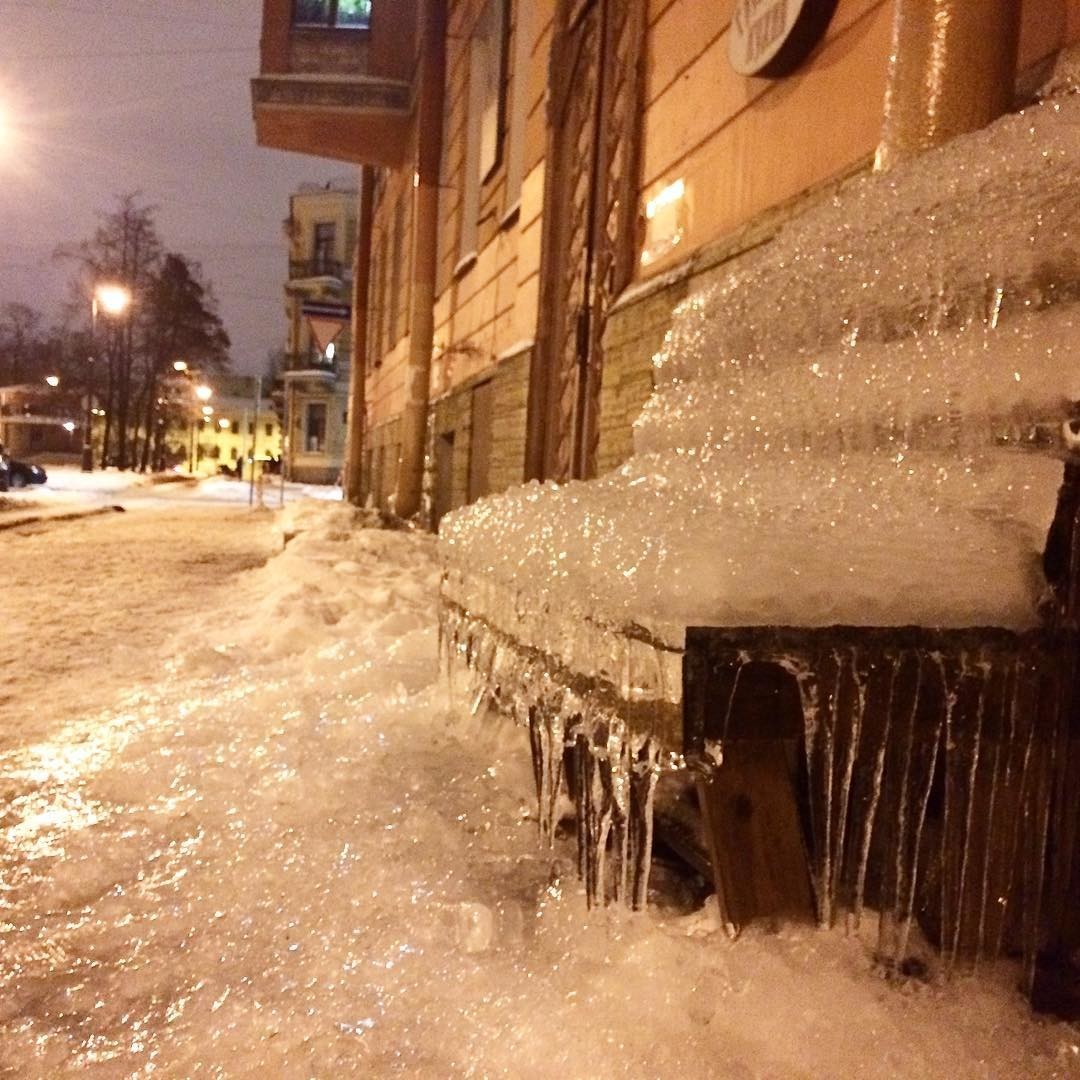 Petersburg succulents - Saint Petersburg, Icicles, Longpost